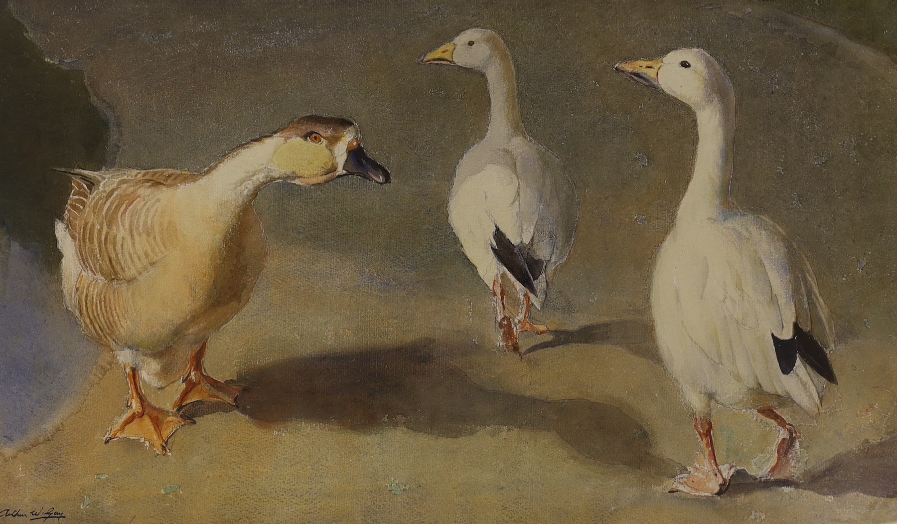 Arthur W. Gay (1901-1958), watercolour, Geese and ducks, signed, 31 x 52cm, with two small still lifes by other hands of mushrooms and oyster shells